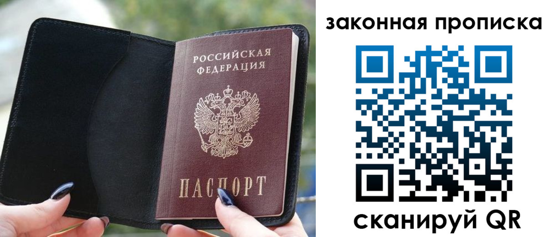 прописка законно в Железногорске